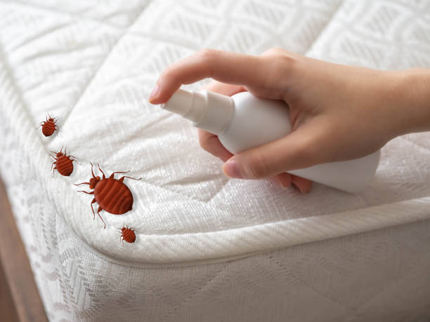 Best Pest Prevention Services  in Meadowood, PA