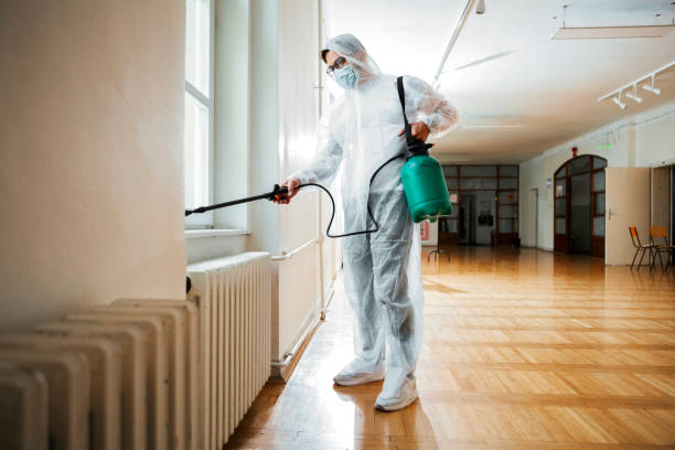 Best Bed Bug Extermination  in Meadowood, PA